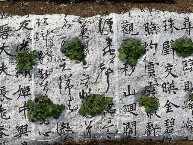 이정, Sowing Words, 2025, 싱글채널, 가변설치