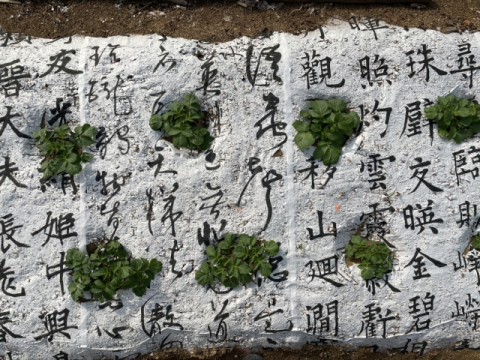 대구 중견작가 4인 집중 조명…'올해의 리딩 아티스트' 展
