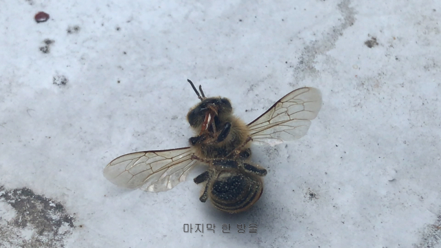김희선, 마지막 한 방울, 2025, 4K 디지털 영상(9분 30초), 55인치 모니터, 나무운송박스, 가변설치.