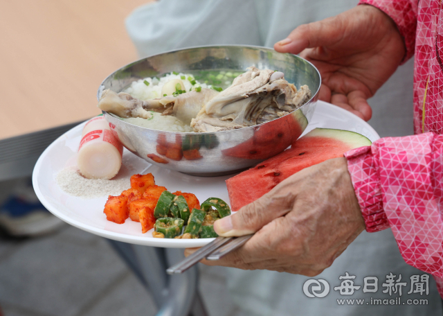 삼계탕. 매일신문DB