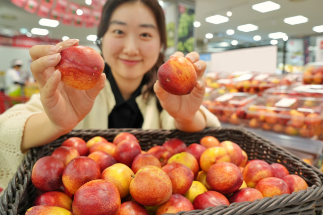 롯데마트·슈퍼가 19일부터 기획 상품 