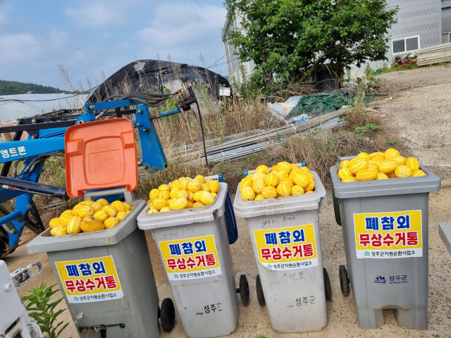 낙동강 수계 인근 성주 용암면에 설치된 폐참외 무상 수거통. 이 폐참외는 비상품농산물자원화센터로 옮겨져 친환경 퇴비로 자원화 된다. 성주군 제공