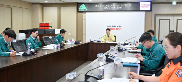 대구시는 19일 김정기 대구시장 권한대행 주재로 구·군, 유관기관과 함께 합동 풍수해 대책회의를 개최했다고 밝혔다. 대구시 제공.