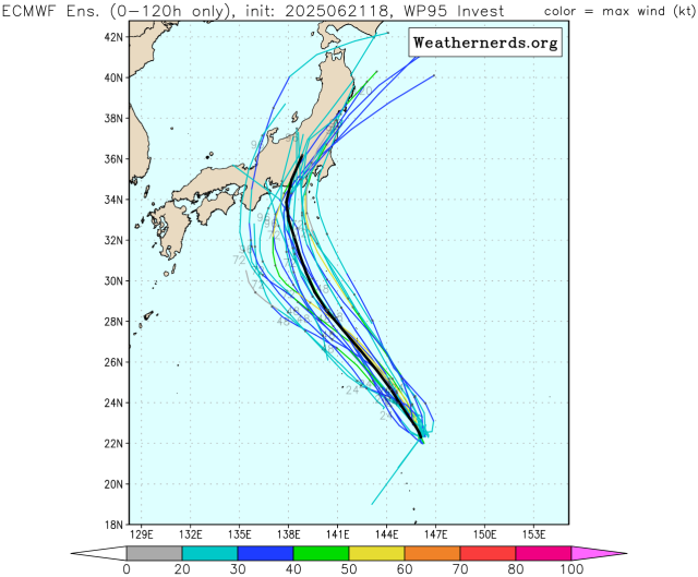 유럽중기예보센터(ECMWF) 앙상블(Ensemble) 모델 95W 열대요란(향후 2호 태풍 스팟 발달 가능성) 예상경로