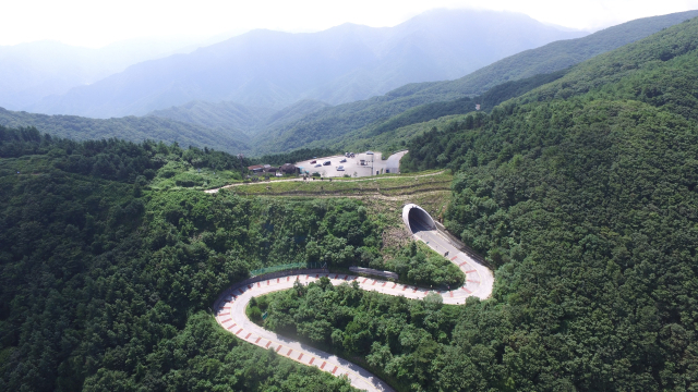 산림청은 도로와 철도 노선 등으로 훼손된 백두대간 생태축 복원사업을 추진하고 있다. 사진은 남원시 정령치 생태복원 모습. 남부산림청 제공