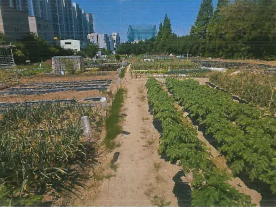 경상북도 포항시 남구 효자동 철도용지.