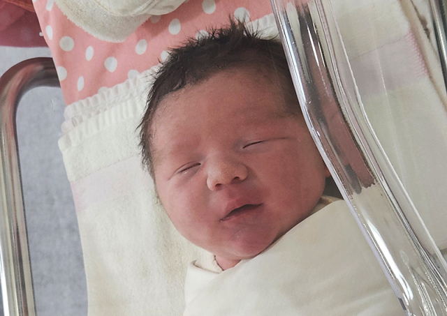 유혜정아가