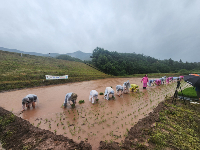 의성군은 지난 21일 금성산에서 의성 전통수리농업시스템 중 하나인 