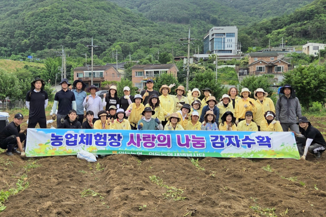 구미 인동농협 직원과 새벽봉사단 단원들이 구미시 구평동 농업체험장에서 