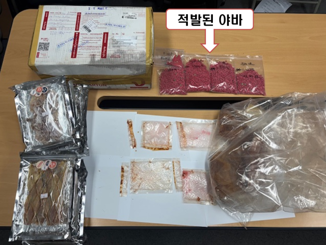 태국인이 국제우편을 통해 발효식품 안에 넣어 밀반입하려던 마약류 야바. 대구지검 제공