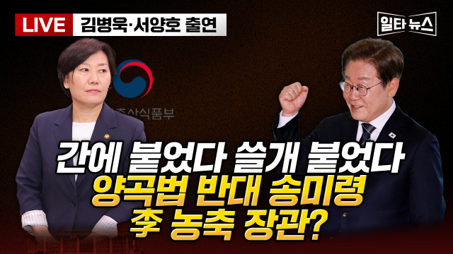 매일신문 유튜브 