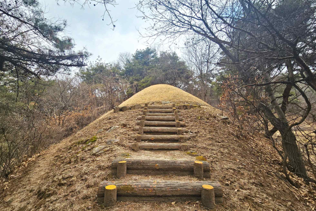 순흥벽화고분 전경. 영주시 제공