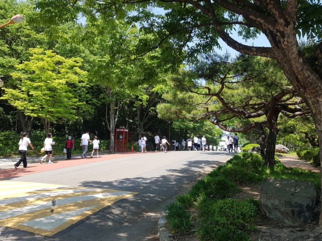 대구 달서구 두류 공원 도시숲. 2025.7.1. 산림청 제공