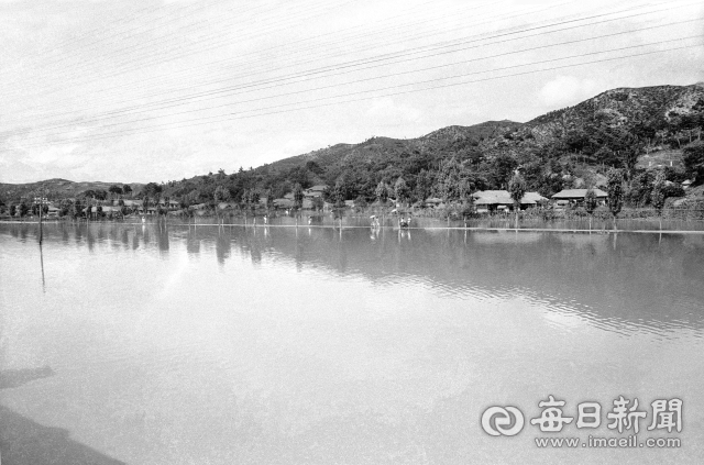 1961년 7월 11일 새벽부터 5시간 동안 내린 215mm 폭우에 영주 가흥동 일대 저지대가 물에 잠겨있다. 사진 속 산자락은 현재 가흥산, 가로수가 보이는 도로는 가흥로다. 사진=매일아카이빙센터