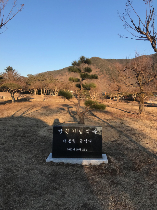 사진은 지난 2023년 10월 병산서원에 설치됐던 윤석열 전 대통령 방문기념 식수와 비석의 모습. 안동시 제공