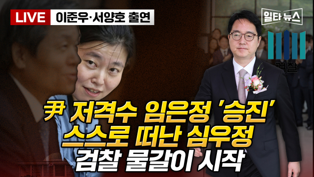 매일신문 유튜브 