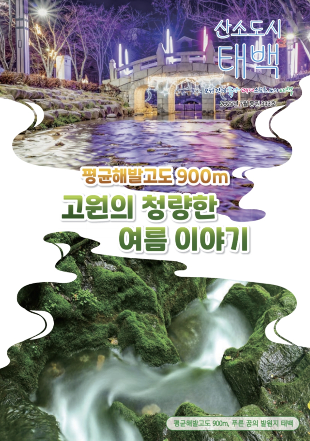 강원 태백시 시정소식지 2025년 7월호 표지. 태백시청