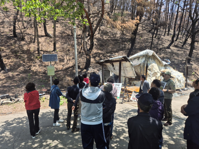 국립공원 생태관광에 참여한 관광객들이 주왕산의 산불 피해지역을 둘러보는 모습. 주왕산국립공원사무소 제공