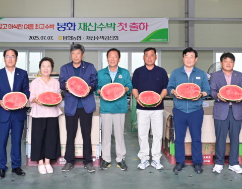 봉화농협, 청량산 재산 명품 수박 휴가철 앞두고 본격 출하
