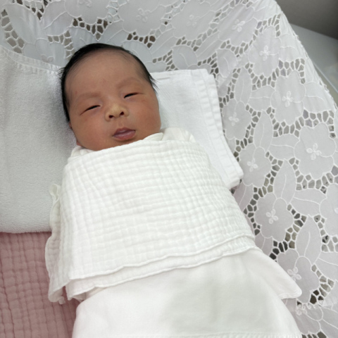 이서준