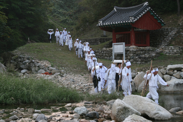 울진 금강송 산지농업시스템 세계중요농업유산 등재 쾌거