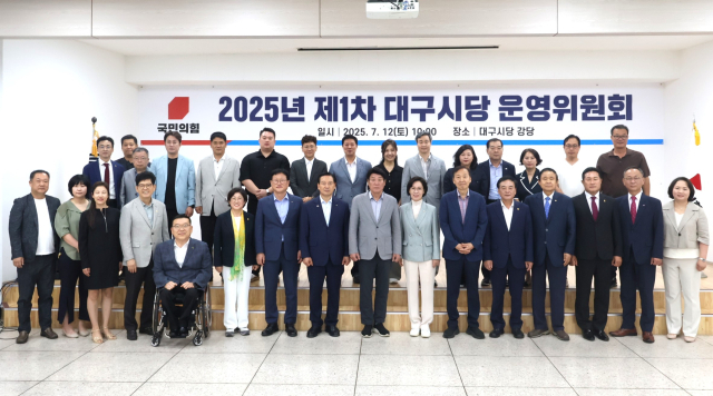 이인선 국민의힘 대구시당위원장 선출
