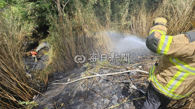 13일 경북 울릉군에서 산불이 발생해 소방당국이 진화중이다. 울릉119안전센터 제공