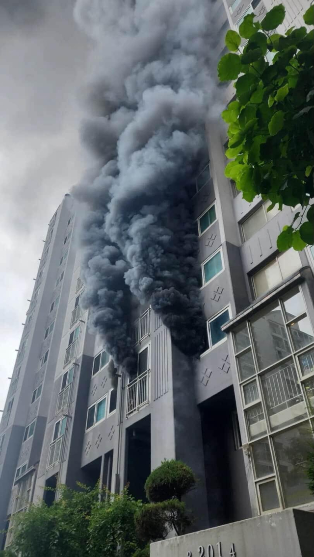 13일 낮 12시 22분께 부산 북구 만덕동 한 아파트에서 불이 났다는 신고가 접수됐다. 소방당국은 낮 12시 42분께 대응 1단계를 발령하고 화재진압과 인명구조 작업을 펼치고 있다. 사진은 이날 화재가 발생한 부산 북구 만덕동 한 아파트. 연합뉴스