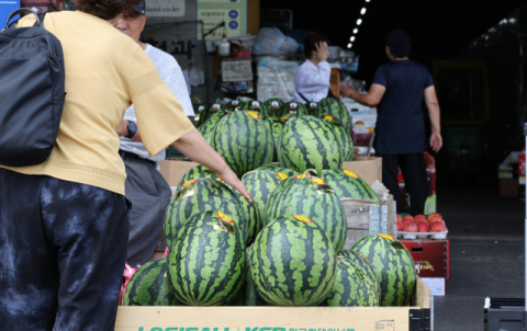 여름철 농축산물 최대 40% 할인…17일부터 3주간