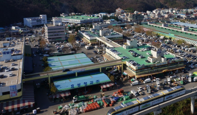 지난해 대구 농수산물도매시장 거래액이 1조1천억원을 돌파한 것으로 나타났다. 사진은 14일 대구 북구 매천동 농수산물도매시장. 정은빈 기자.