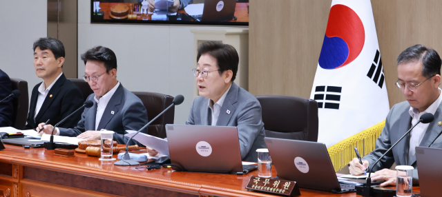 李 실용정부 명분만 좆다 국익 해칠라