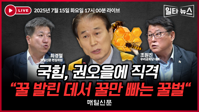 매일신문 유튜브 