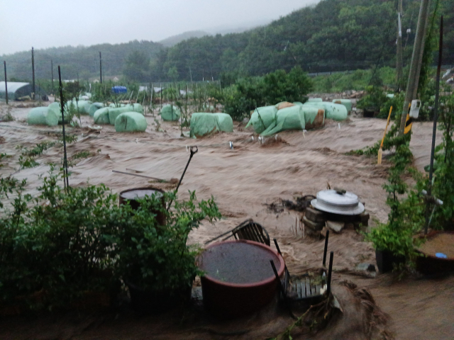 호우경보가 내려진 17일 오전 충남 예산군 봉산면에서 산사태로 떠밀려온 흙더미가 한 축사를 덮쳐 소가 매몰돼 있다. 연합뉴스