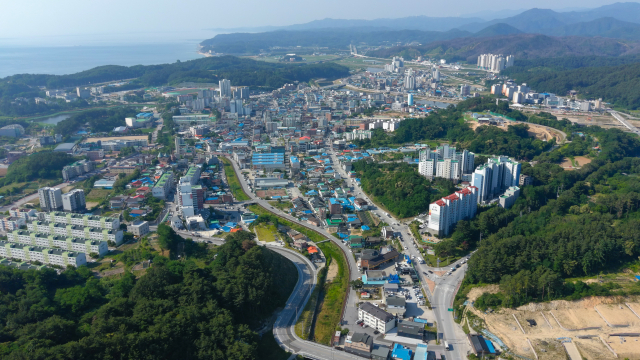 울진 시가지 전경. 울진군 제공