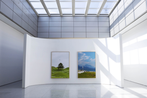 비엔날레 기간, 대구 곳곳서 사진 전시 팡팡