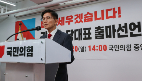 '당 대표 출마' 김문수 