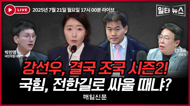 매일신문 유튜브 