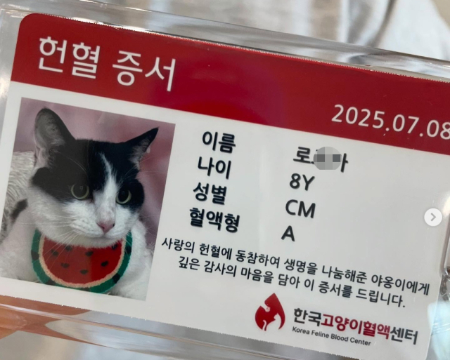 한국고양이혈액센터에서 발급한 고양이 헌혈증