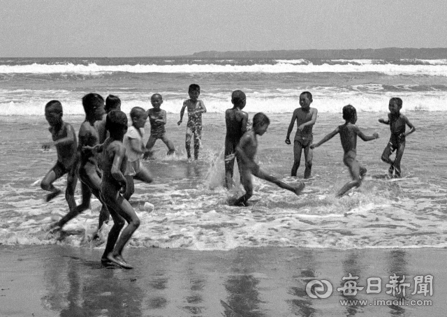 1962년 6월 13일 초여름 무더위 속에 개구쟁이들이 개장(7월 5일)을 앞둔 포항 송도해수욕장에서 알몸으로 물놀이를 즐기고 있다. 사진=매일아카이빙센터