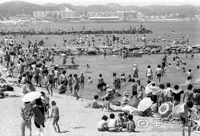 1990년대 초 포항 송도해수욕장에 모래 유실을 막기 위해 설치한 돌제(방파제) 주변에서 피서객들이 해수욕을 즐기고 있다. 사진=매일아카이빙센터