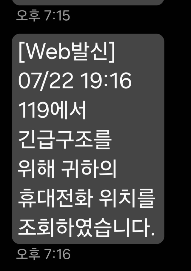제보자가 119 신고 후 받은 위치 조회 확인 문자.