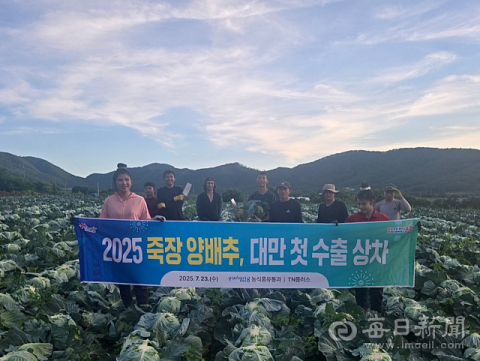 포항 양배추 대만인들 입맛 사로 잡는다