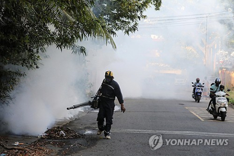 치쿤구니야열병 전세계 확산 공포…WHO 