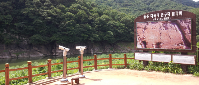 울주 대곡리 암각화 전경. 현장에서는 물에 잠긴 암각화를 감상하기 어렵다.