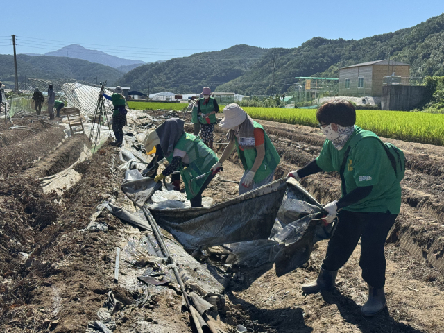 대구 군위군 새마을 회원들이 수해 피해를 입은 경남 합천군 삼가면 와토리 일원에서 수해 복구 지원 활동을 펼치고 있다. 군위군 제공
