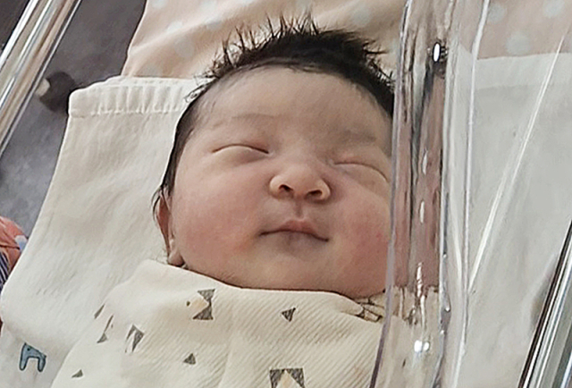 김신지아가