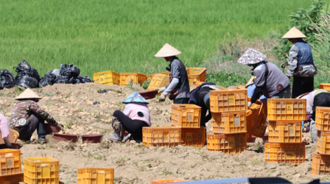 산재사망자 10명 중 1명 이상 외국인 근로자…산업안전훈련은 참여율 낮아