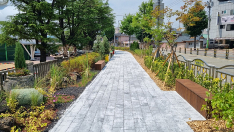 안동시 서부초등교 주변 '자녀안심그린숲' 조성 완료