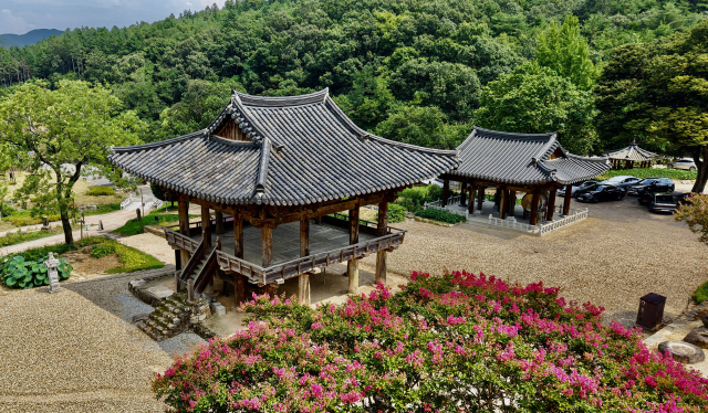 의성 비봉산 자락에 자리잡은 대곡사 범종루 주변에는 여름꽃인 붉디붉은 베롱나무 꽃과 연분홍 부처꽃이 만개했다.