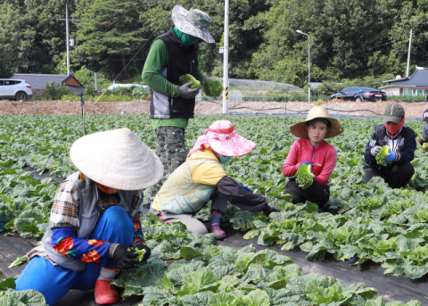 영양군, 베트남 계절근로자 249명 추가 입국… 일손 부족 해소 기대